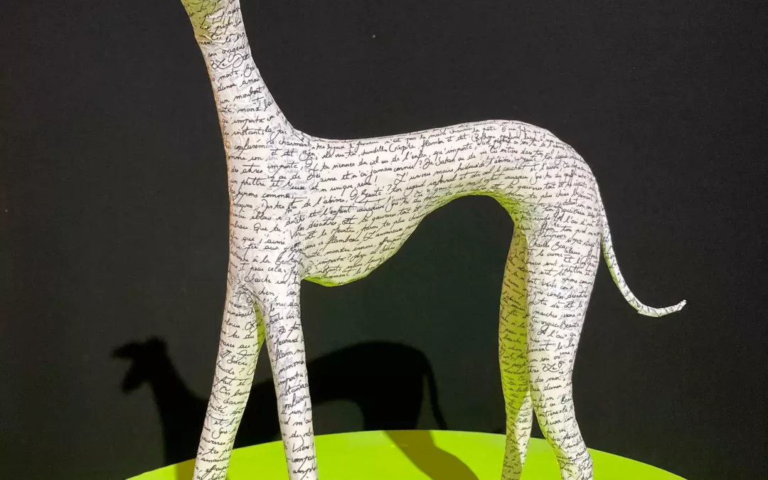 Galgo blanco con letras negras